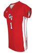 Dynamic Team Sports Custom Sublimated Ladies Softball Jersey Design 700-1 (SB700-1)
